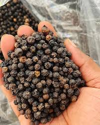 Tellicherry Bold Malabar Black Pepper
